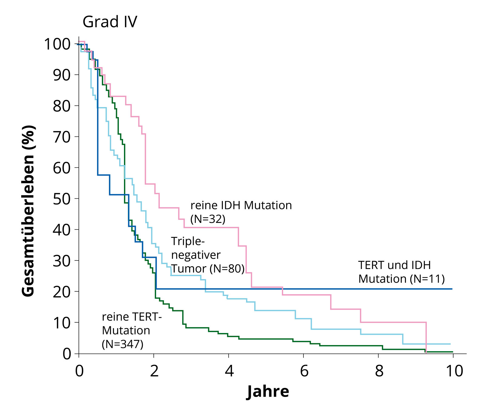 Survival curves of the molecular subgroups of glioblastomas