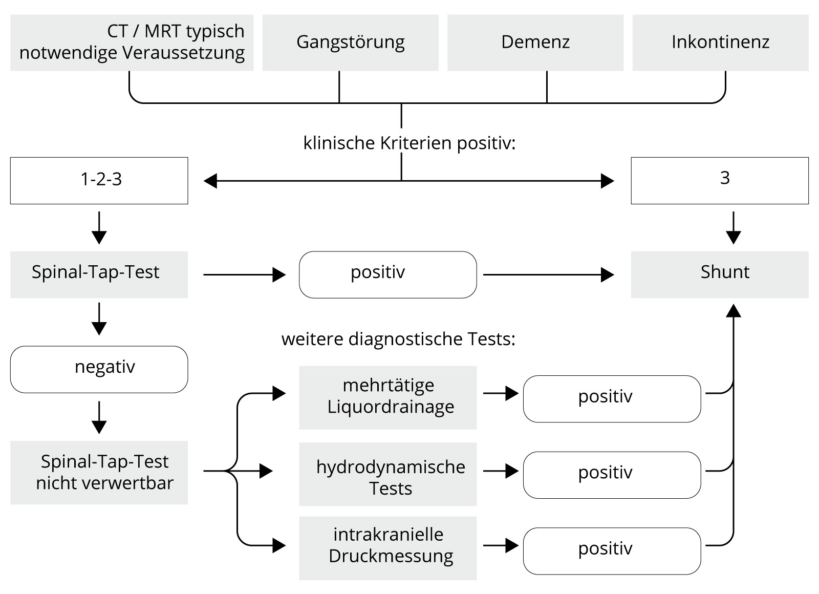 Diagnostik-Schema nach Leitlinien der DGN